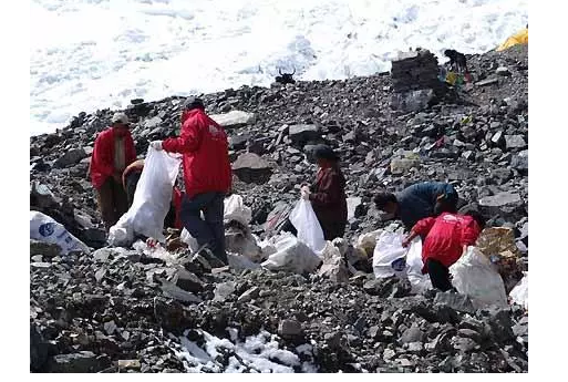 你被“垃圾分類”洗腦了嗎?揭秘強制分類背后的驚天秘密!- 你被“垃圾分類”洗腦了嗎?揭秘強制分類背后的驚天秘密!-