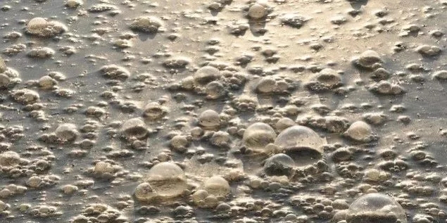 污水廠內的生物氣溶膠怎么產生，污水從業人員如何做好防護？-