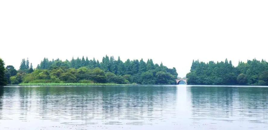 疫情下多重優勢浮現，來看看地下式污水處理廠的實力吧！