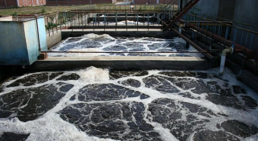 住建部：如何應對新冠病毒從馬桶到水環境的潛在傳輸途徑？