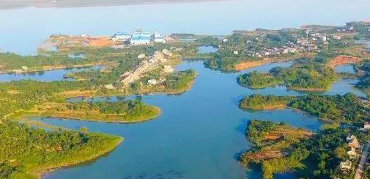 不斷加速的淘汰賽中，泵管閥“后浪們”為活下去而戰(zhàn)！