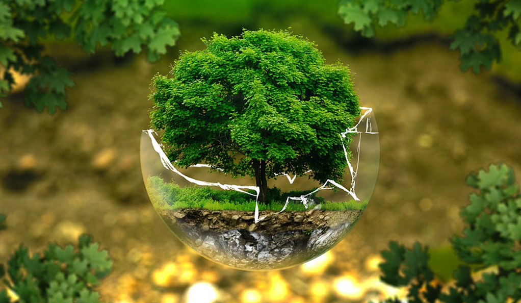 中國水環(huán)境集團：綠色低碳技術(shù)驅(qū)動水務價值重構(gòu)